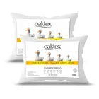 kit 2 travesseiros 70x50 antialérgico lavável fibra siliconada toque de pluma de ganso oaktex cor branco